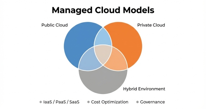 Managed Cloud Models